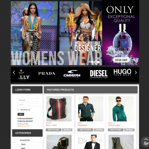 Boutique website design