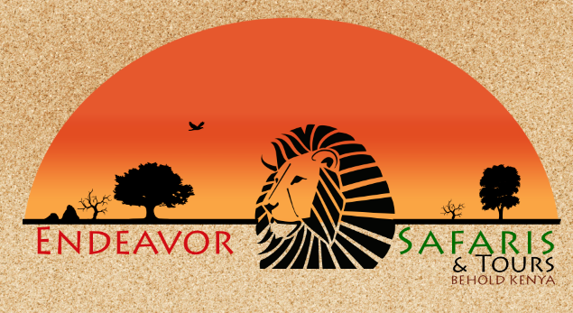 safari tour logo