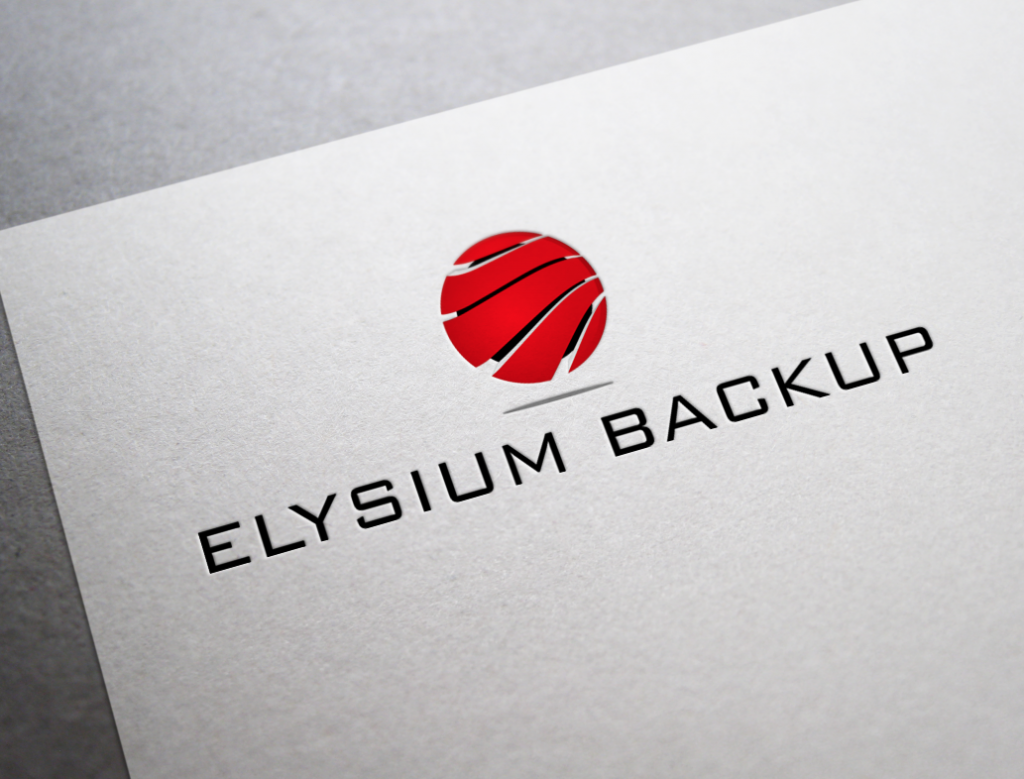 Logo Design IT Backup Company