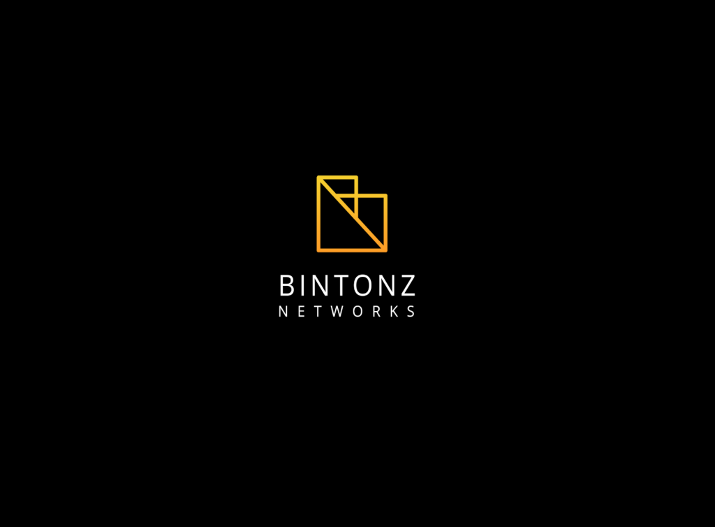 Network Company Logo Design